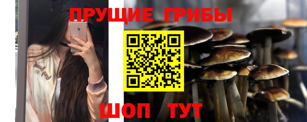 Балабаново  закладка  Вход с VPN  Псилоцибиновые грибы GOLDEN TEACHER 